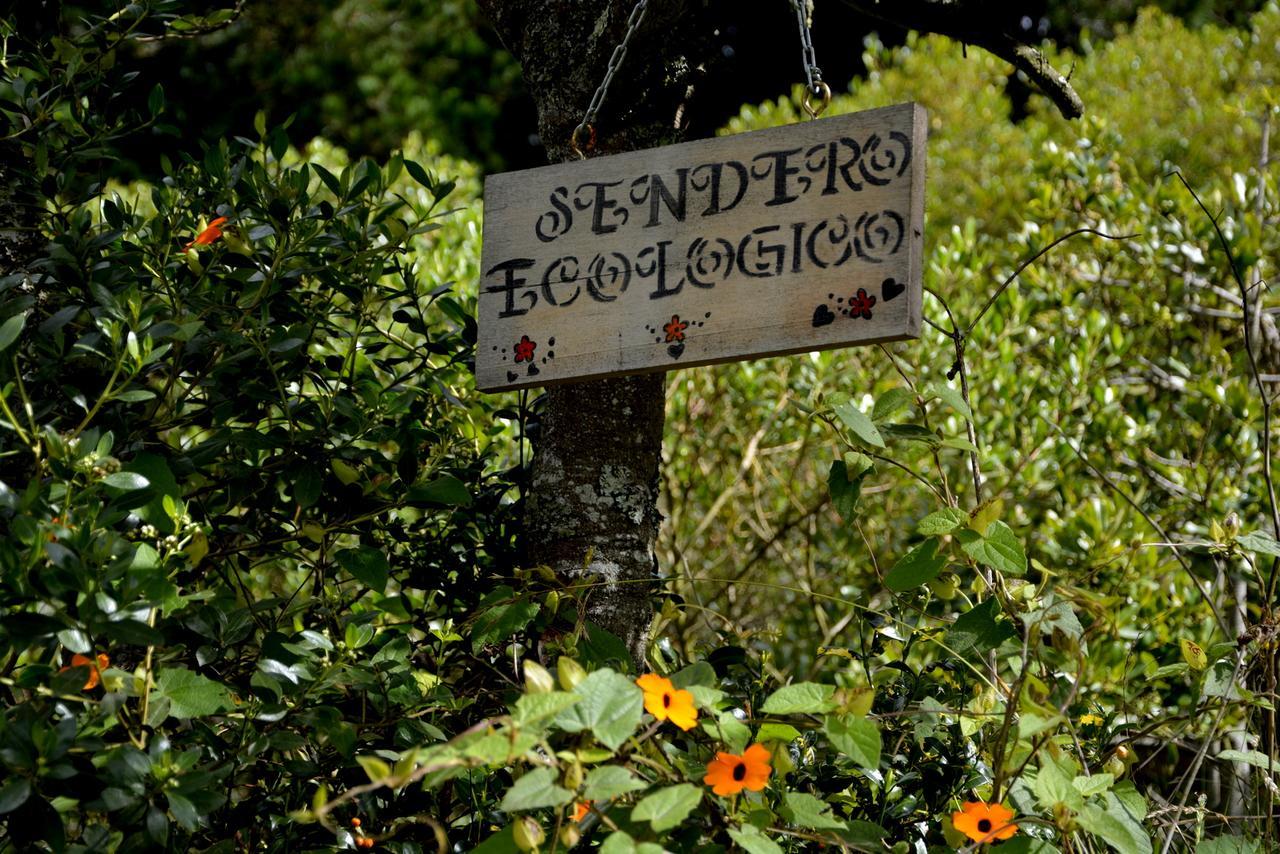 El Pedregal Sopo Bed and Breakfast Exteriör bild