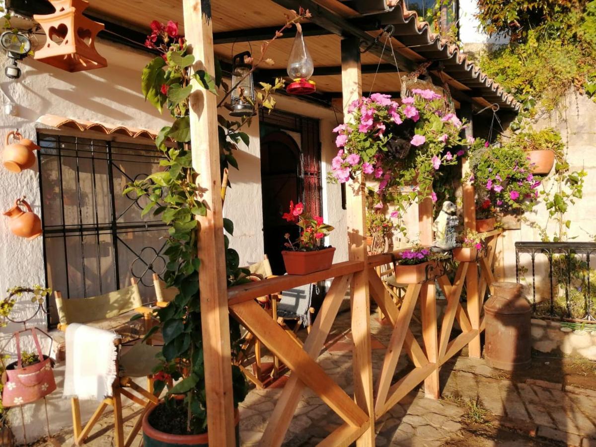 El Pedregal Sopo Bed and Breakfast Exteriör bild